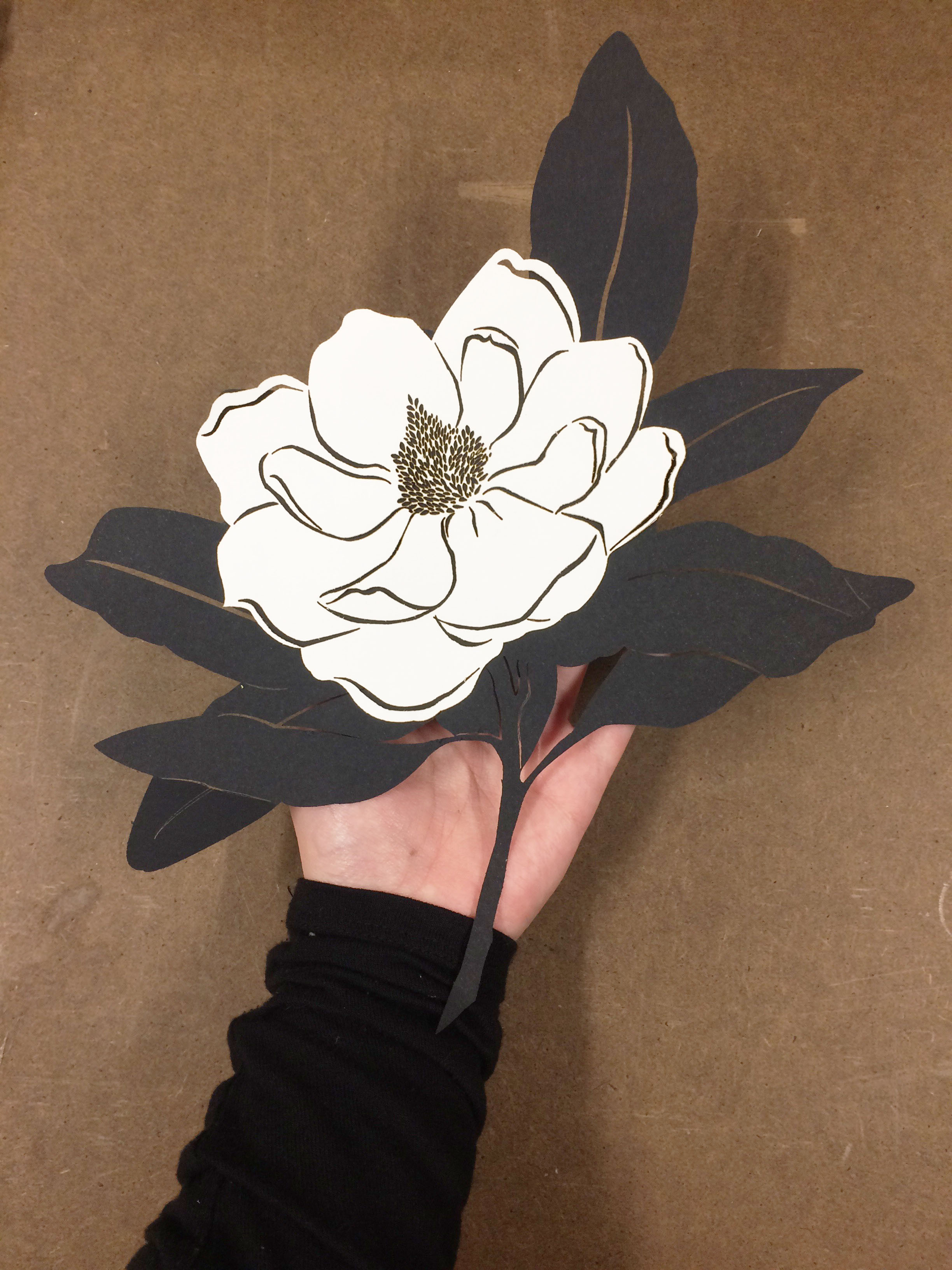 Magnolia laser cut Nathier Fernández